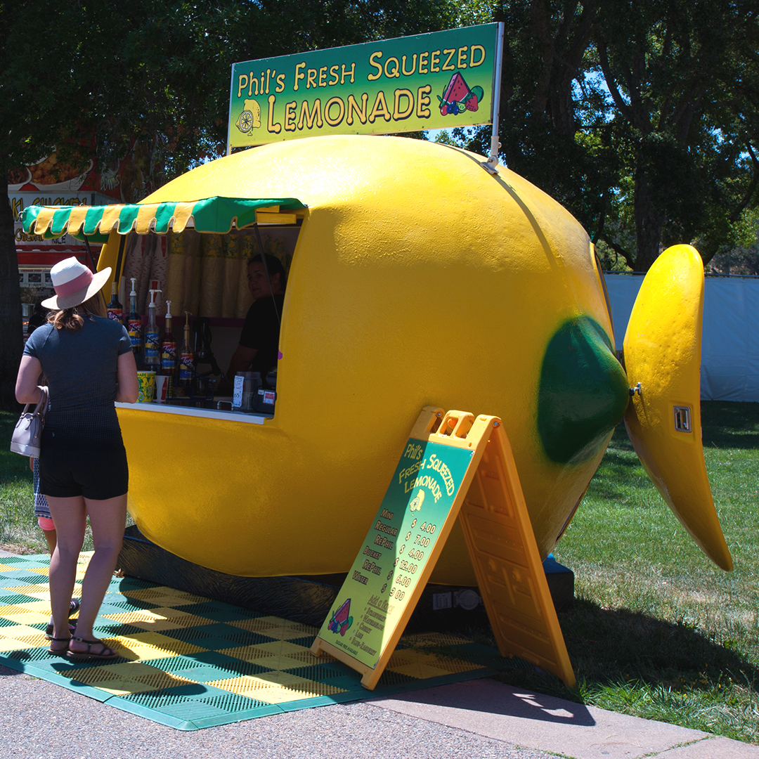 MARIN COUNTY FAIR