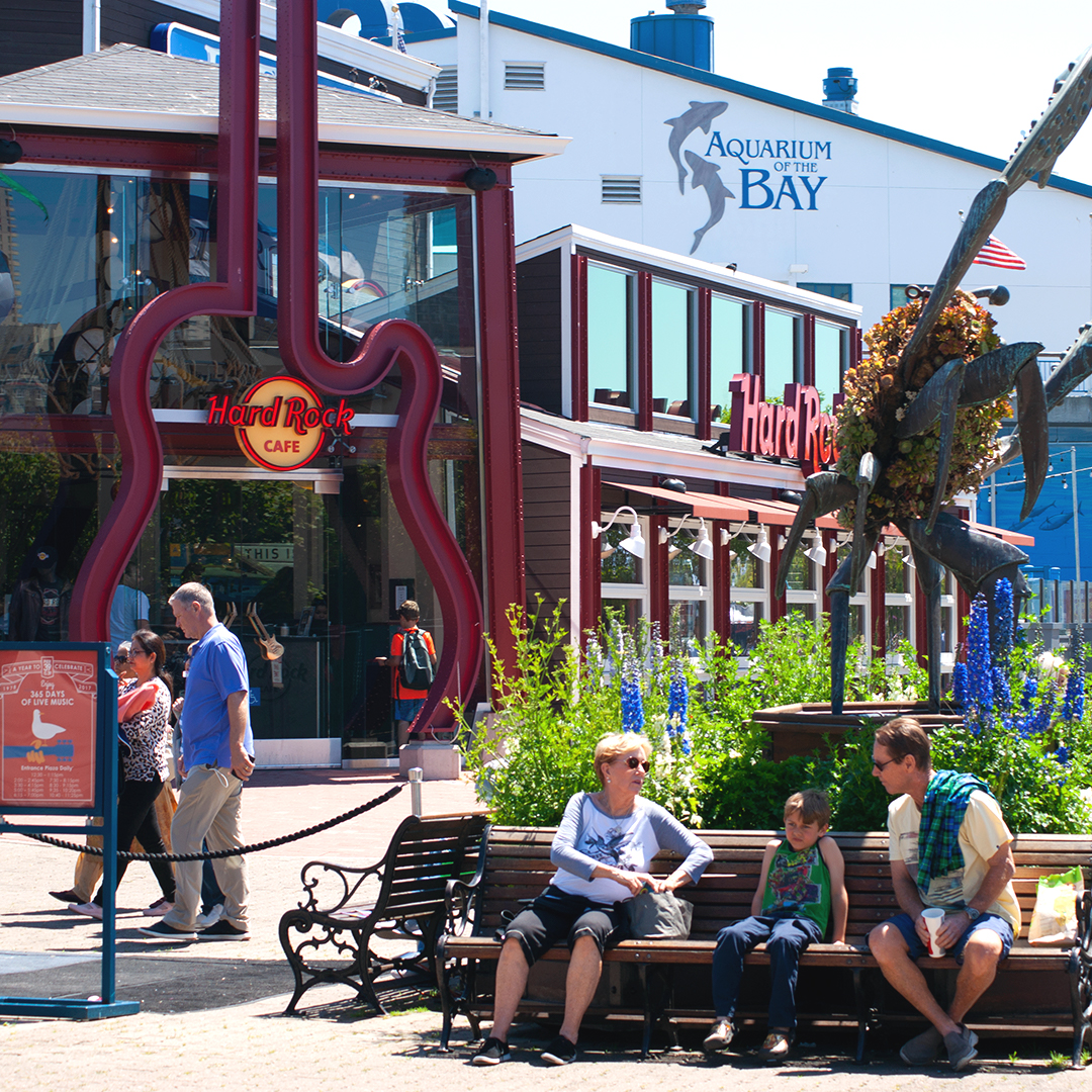 SAN FRANCISCO PIER 39