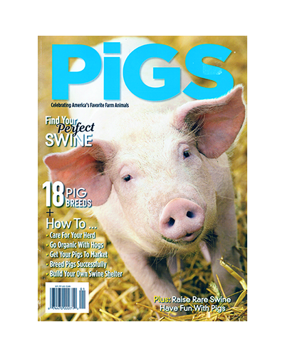 FIND YOUR PERFECT SWINE