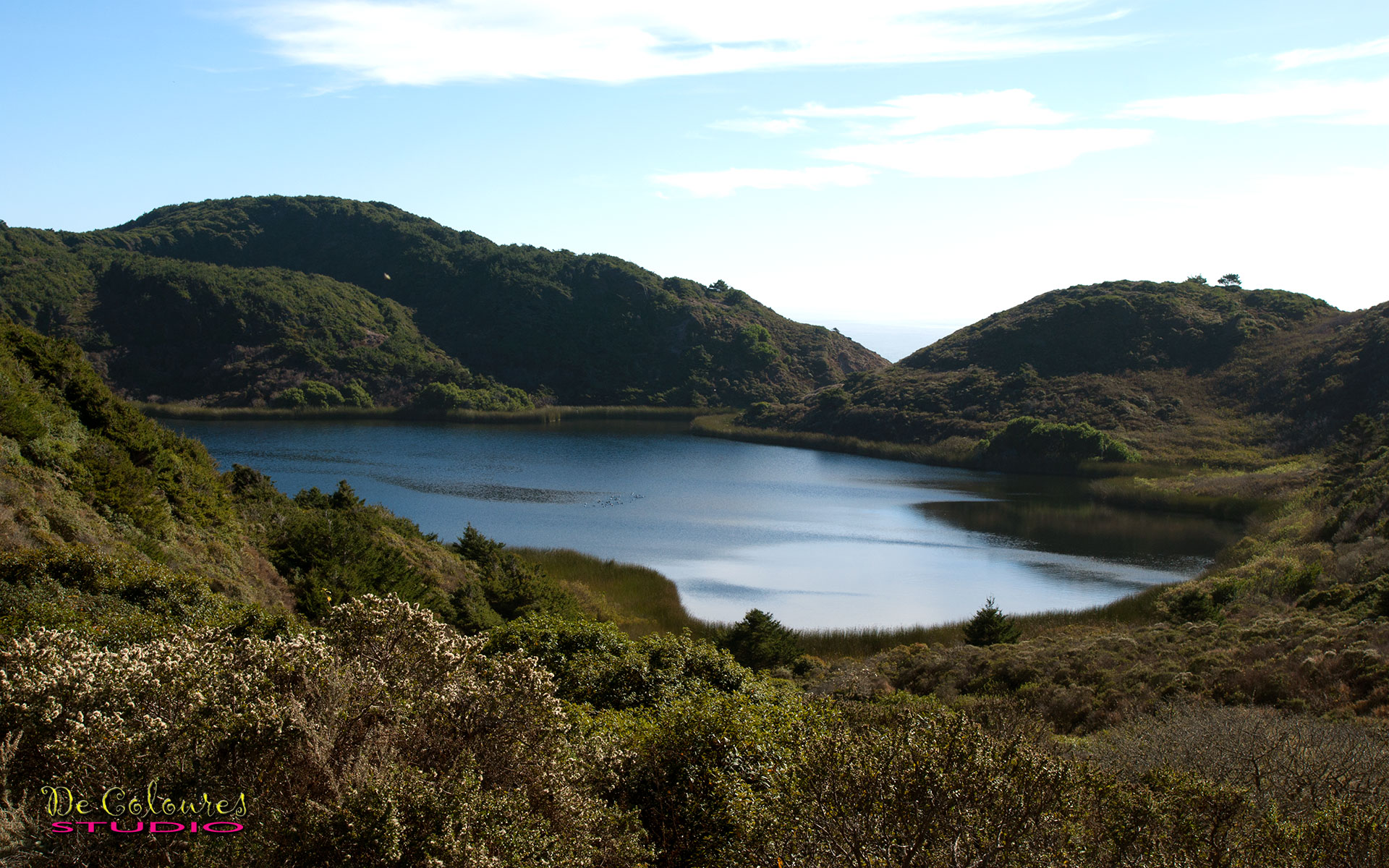 Alamere Falls - Poin Reyes