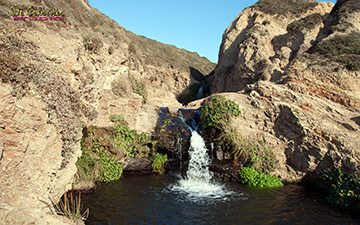 Alamere Water Falls