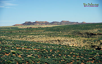 Grand Canyon - The view from the highway