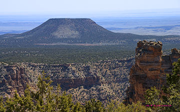 The amazing view from Navajo Point Desert - April, 2015