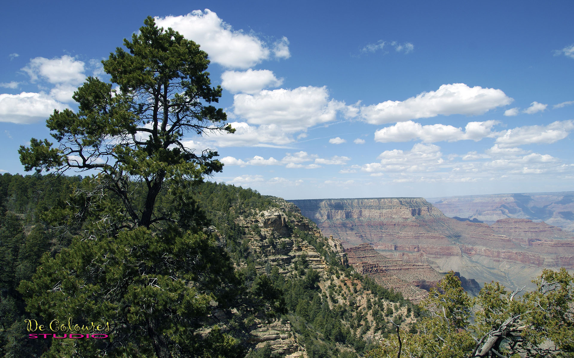 Grand Canyon - Arizona