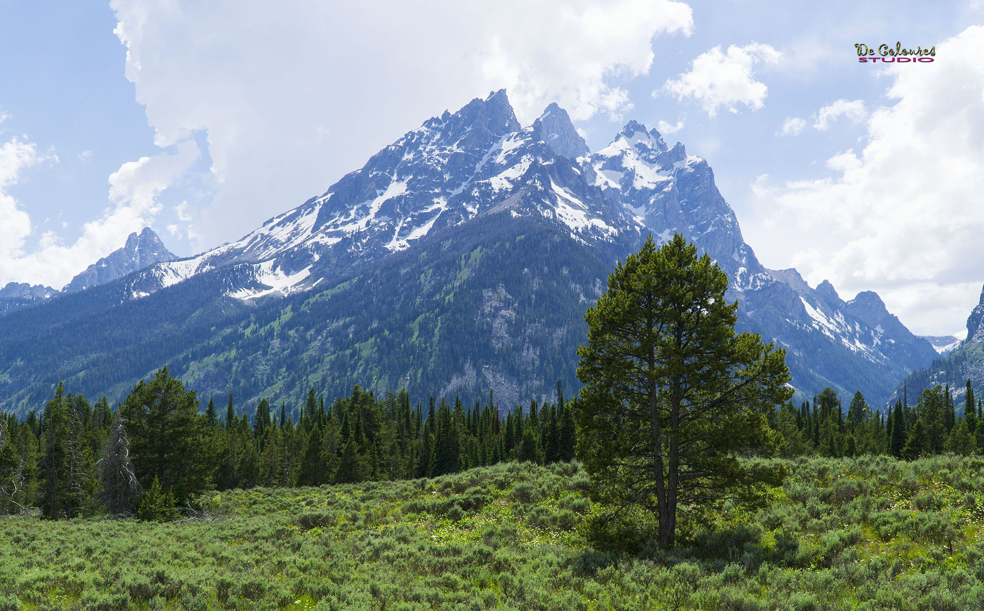 Grand Teton - 2019