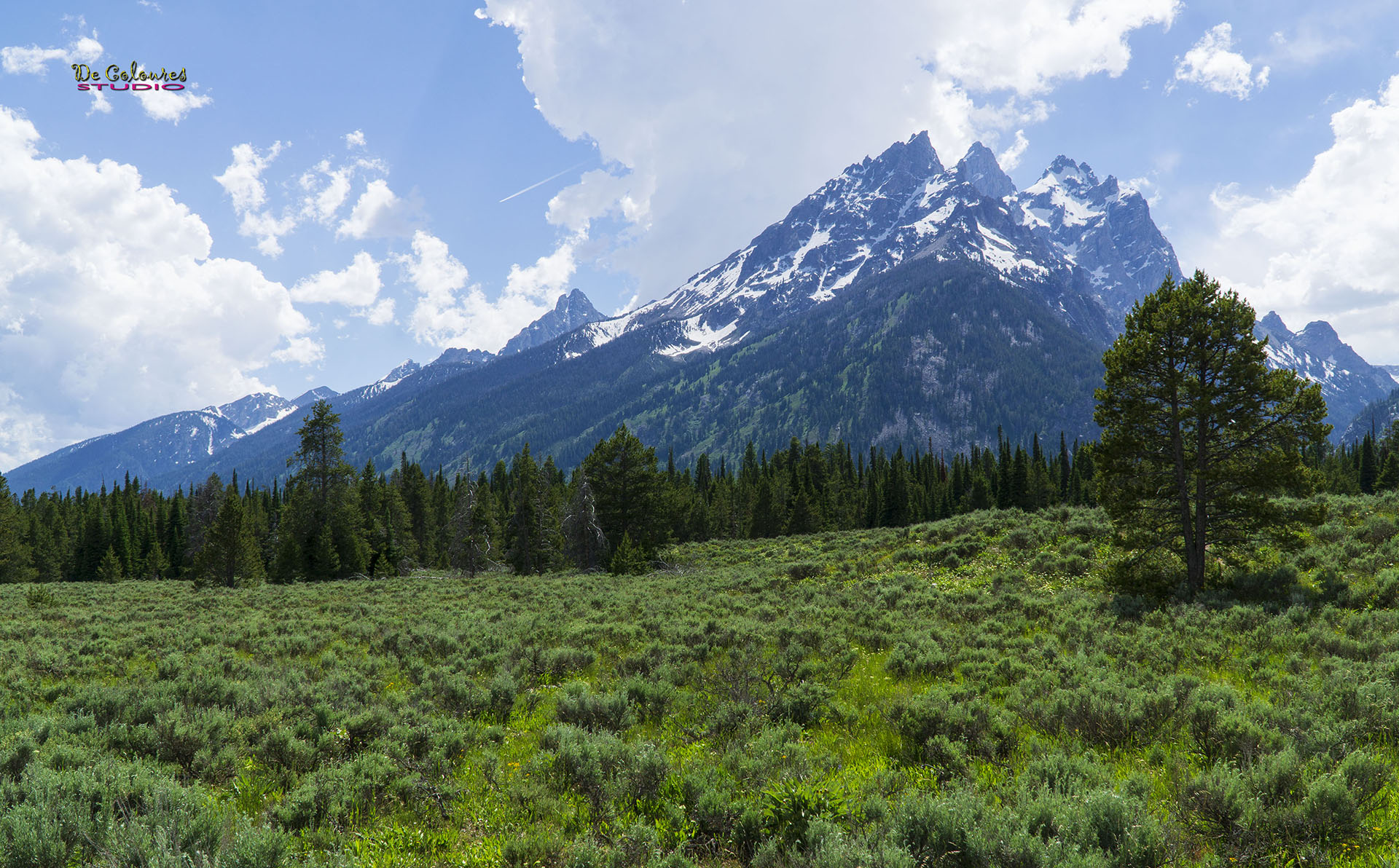 Grand Teton - 2019