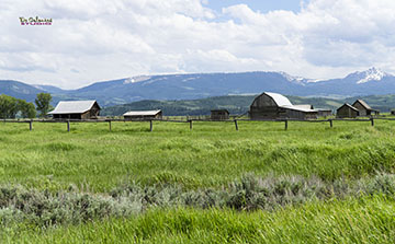 Grand Teton National Park - Wyoming, USA - July, 2019