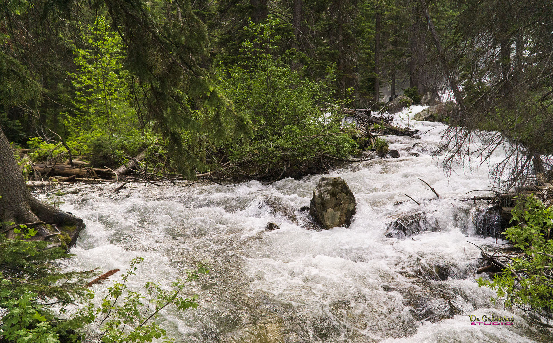 Grand Teton - 2019