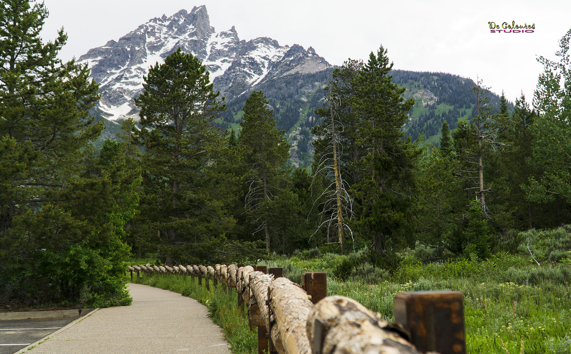 Grand Teton - 2019