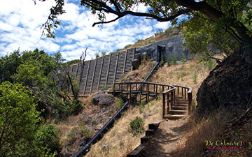 Muir Woods Rugged Trails