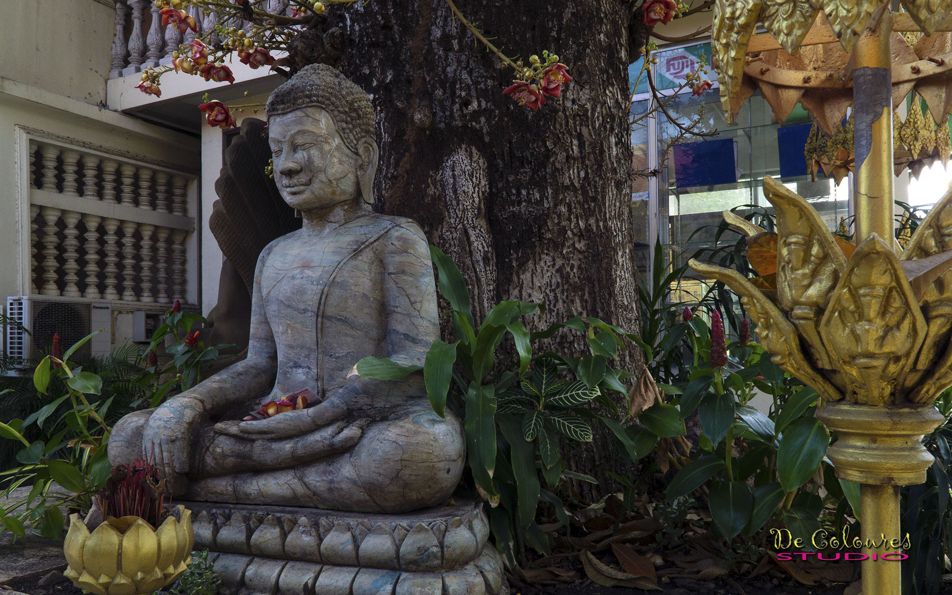 Mealea Restaurant's Buddah