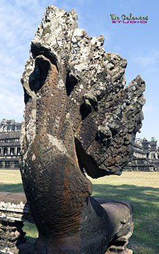 Ankor Wat, Cambodia