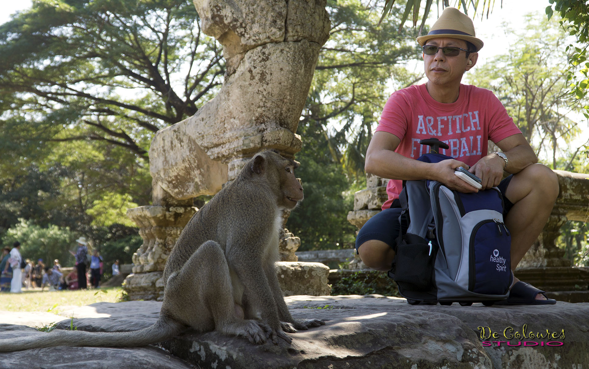 Wild Monkey at Angkor Wat