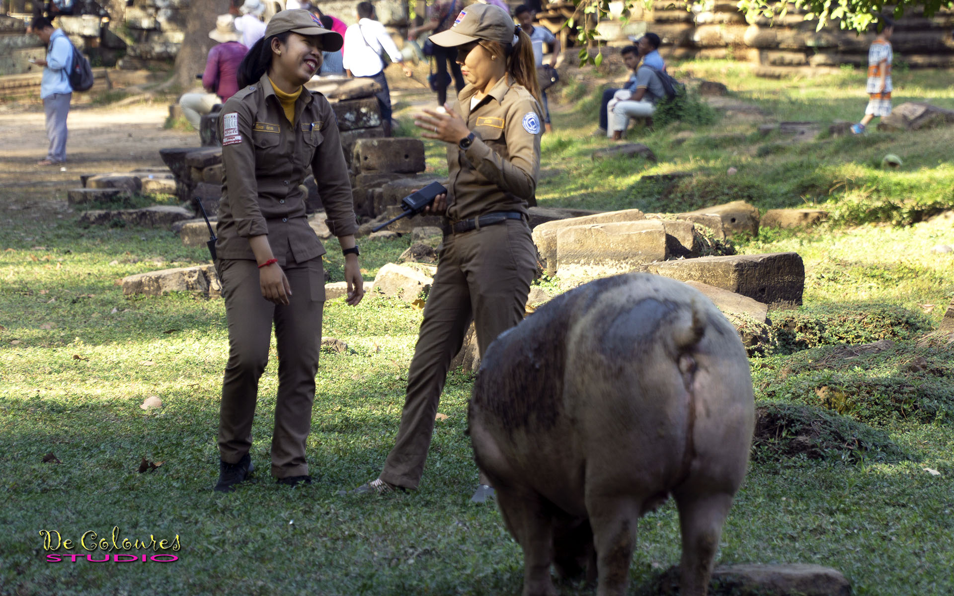 Ankor Wat, Cambodia