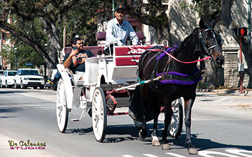 Horse-Drawn Carriage