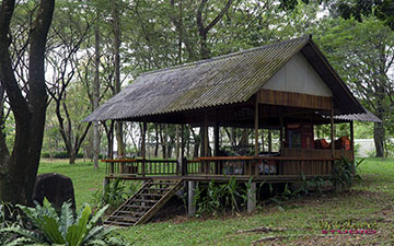 Indigenous Peoples Miniature House