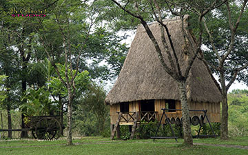 Indigenous Peoples Miniature House