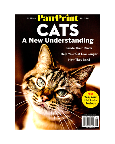 CATS: A NEW UNDERSTANDING