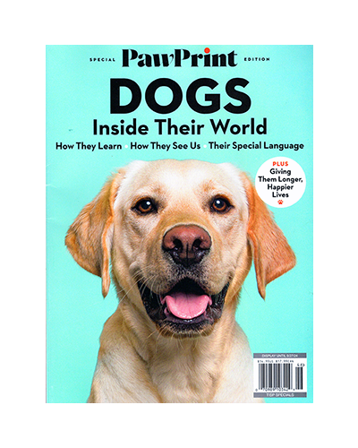 DOGS. INSIDE THEIR WORLD